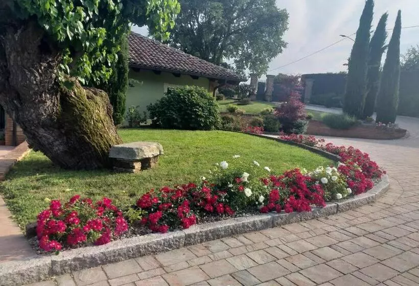 B&b La Bianchina