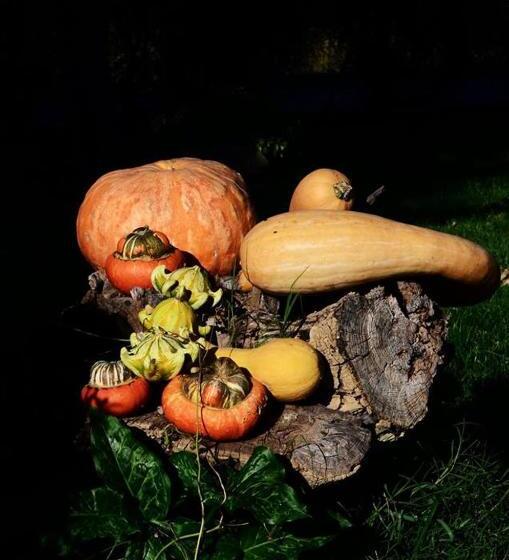 مبيت وإفطار Casale Il Cerqueto