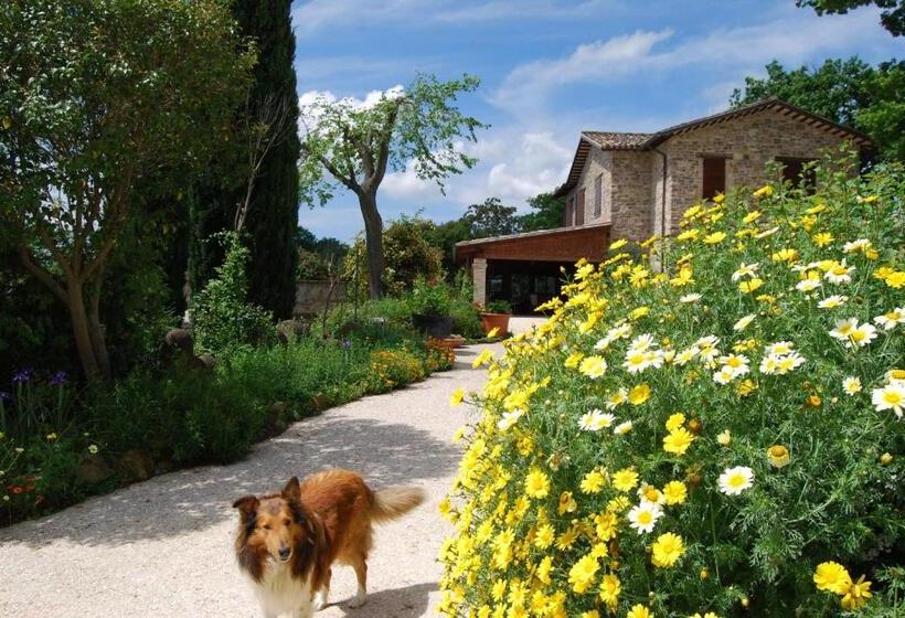 مبيت وإفطار Casale Il Cerqueto