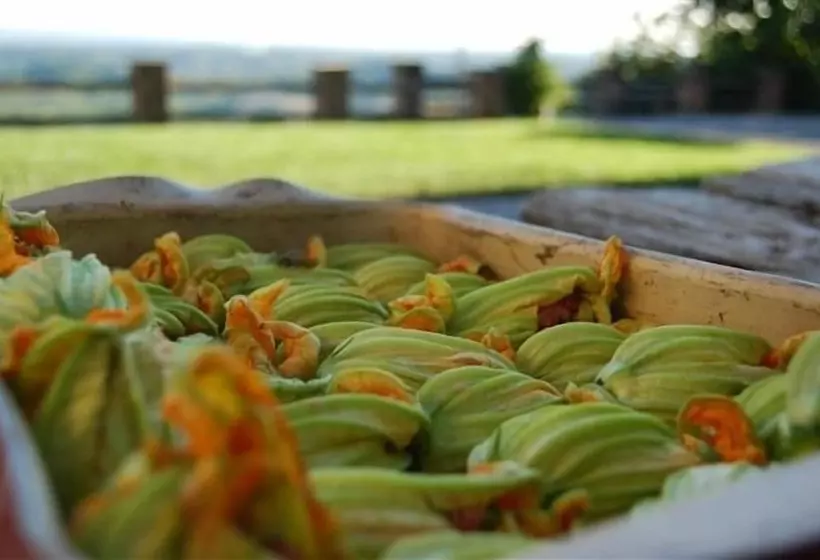 Aamiaismajoitus (B&B) Casale Osvalda