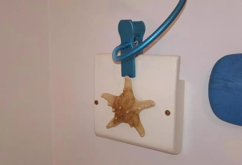 Aamiaismajoitus (B&B) Controvento Rooms