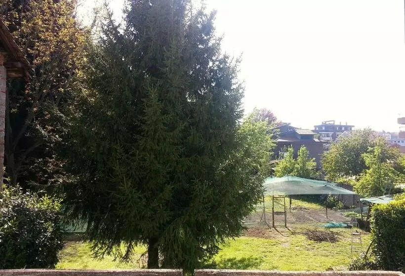 ベッドアンドブレックファースト Il Nido Del Pettirosso