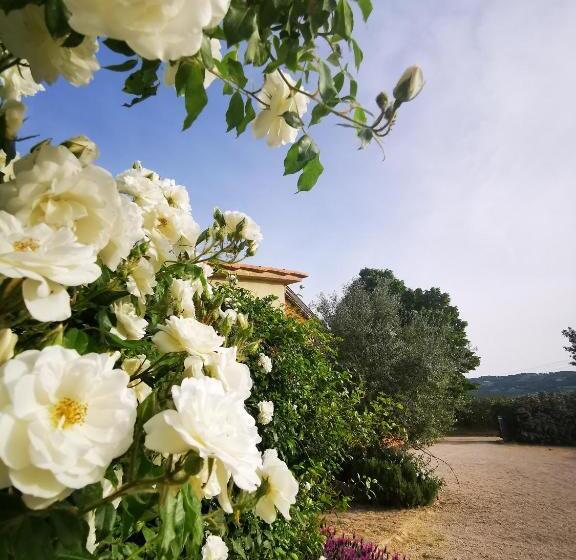 צימר La Casa Dei Tigli