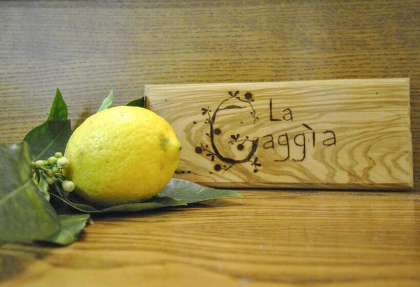 צימר La Gaggia Guest House