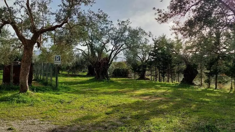 Aamiaismajoitus (B&B) La Piana Degli Ulivi