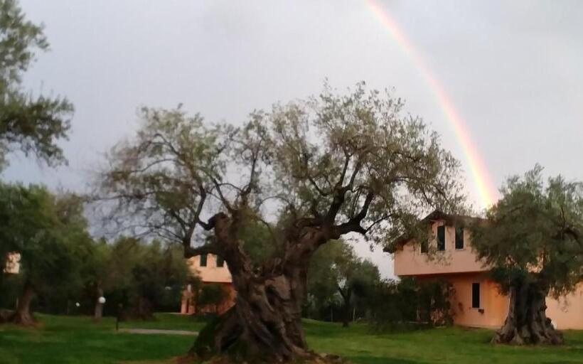 住宿加早餐  La Piana Degli Ulivi