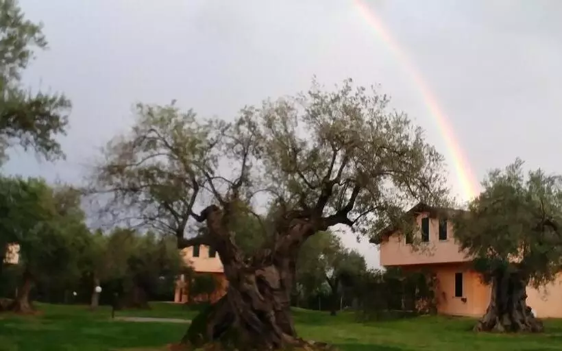 Aamiaismajoitus (B&B) La Piana Degli Ulivi