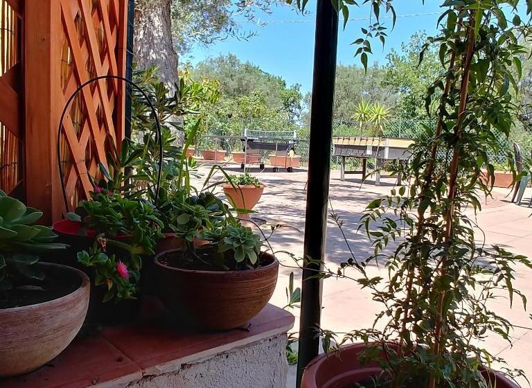 住宿加早餐  La Piana Degli Ulivi