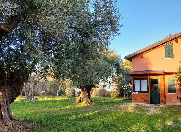 住宿加早餐  La Piana Degli Ulivi