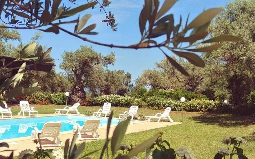 Aamiaismajoitus (B&B) La Piana Degli Ulivi