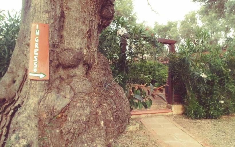 住宿加早餐  La Piana Degli Ulivi