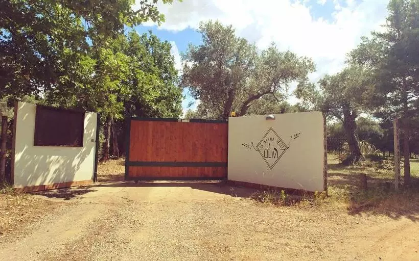 Aamiaismajoitus (B&B) La Piana Degli Ulivi