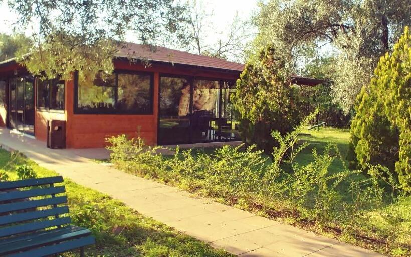 住宿加早餐  La Piana Degli Ulivi