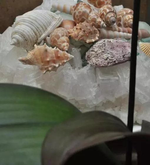 تختخواب و صبحانه Le Margherite