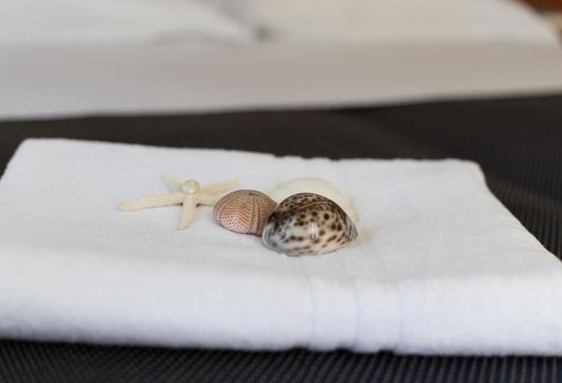 בית מלון כפרי Byron