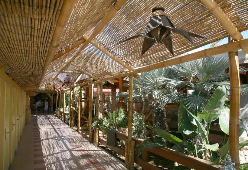 ホテル Oasi Beach