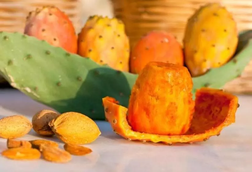 Il Baglio Di Kharrub Rural Guest House