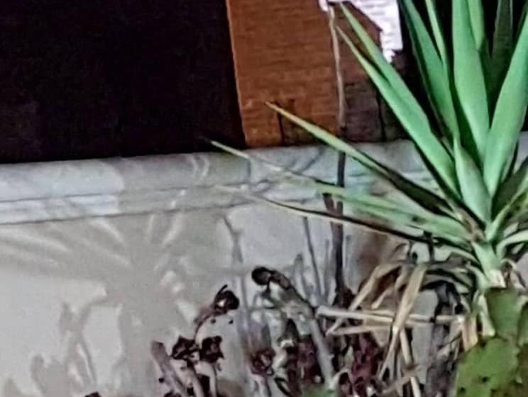 Palazzo Volta Boutique Luxury B&b