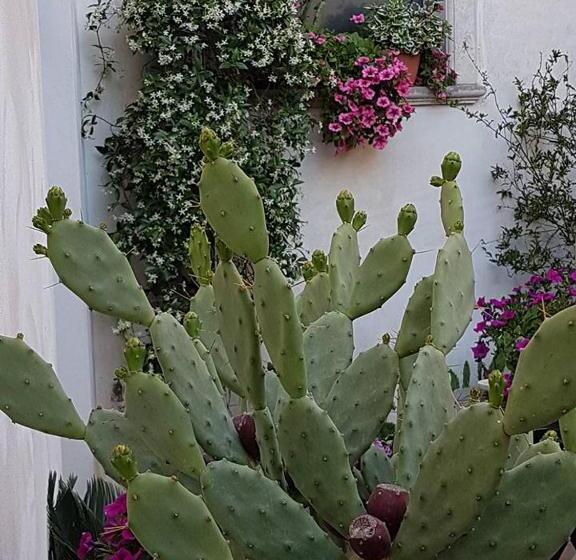 Palazzo Volta Boutique Luxury B&b