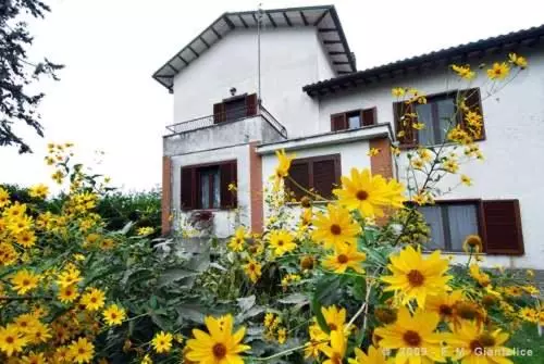 Stella Polare B&b