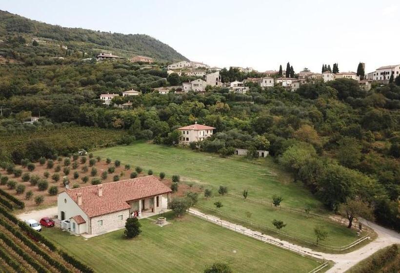 ベッドアンドブレックファースト Alloggio Franciscus