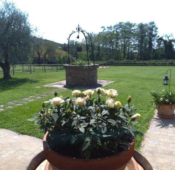 ベッドアンドブレックファースト Alloggio Franciscus