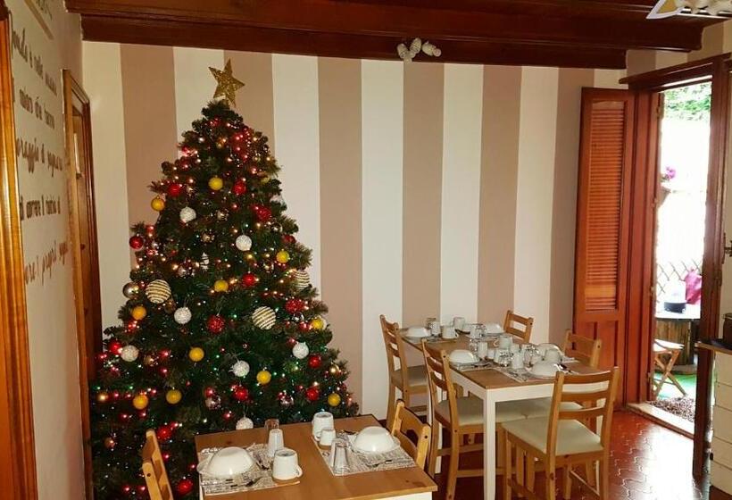 تختخواب و صبحانه Dream 117