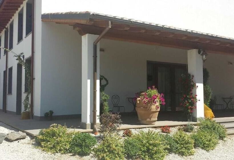 مبيت وإفطار Forum Cassii