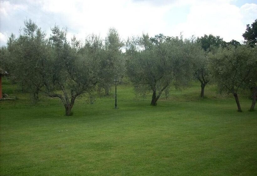 Bed and Breakfast Forum Cassii