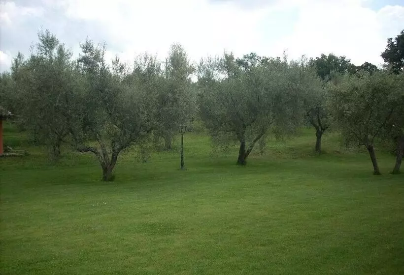 Aamiaismajoitus (B&B) Forum Cassii