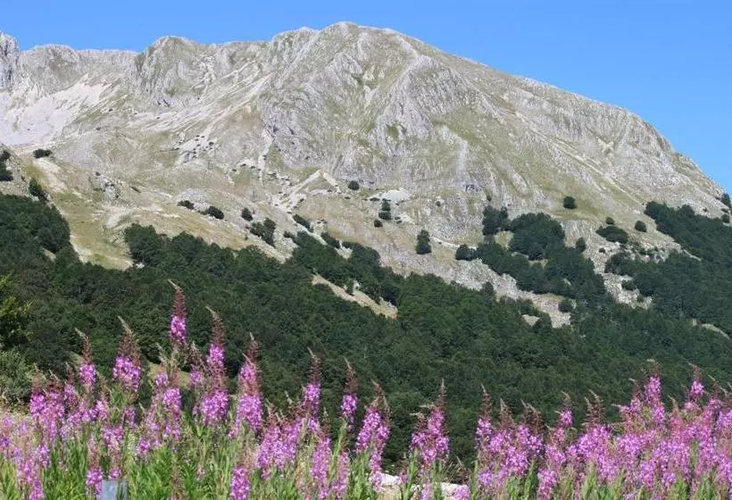 Aamiaismajoitus (B&B) La Pinetina