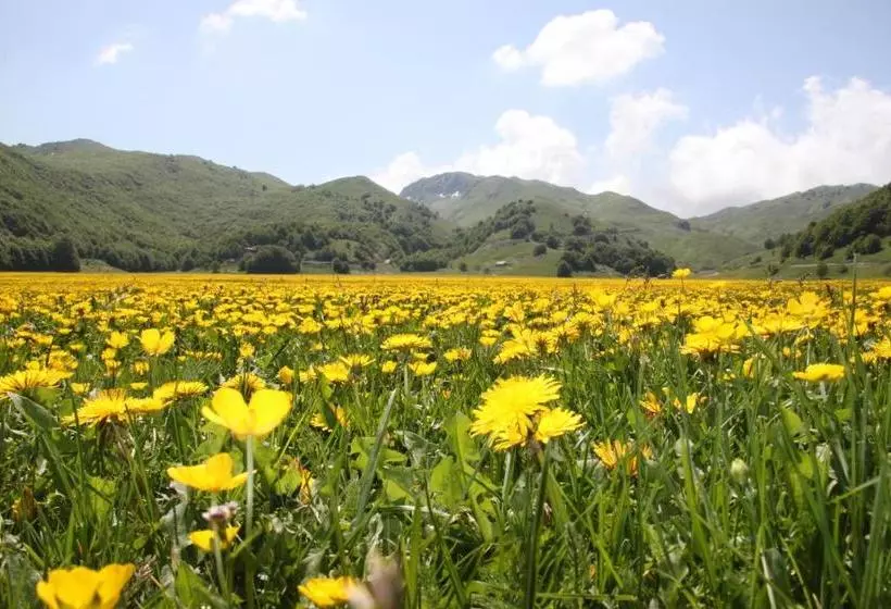 Aamiaismajoitus (B&B) La Pinetina