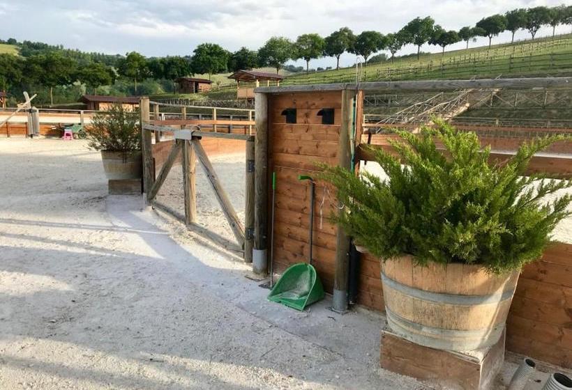 Bed and Breakfast Monterosato Country House