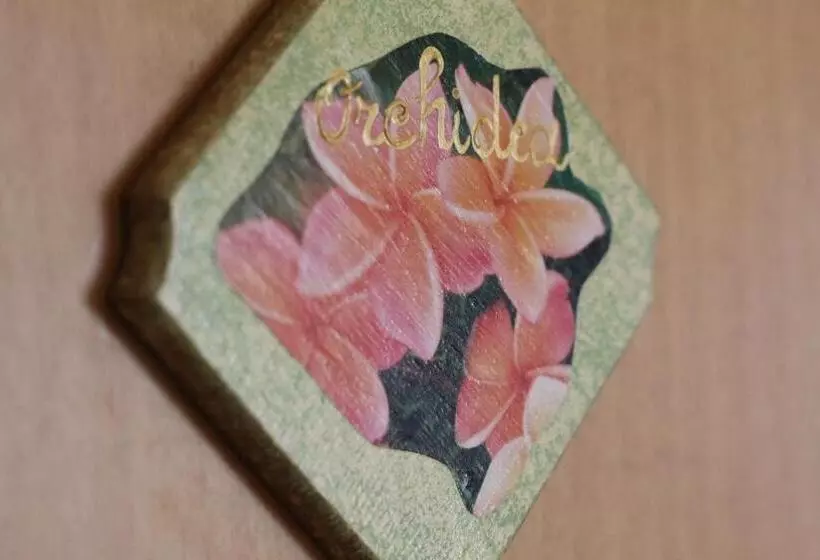 Bed & Breakfast Mafi