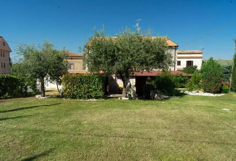 Bed & Breakfast Mafi