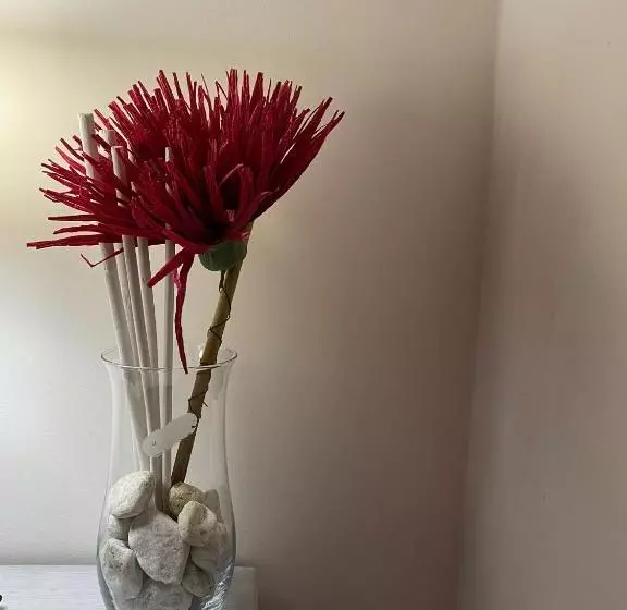 Bed & Breakfast Mafi