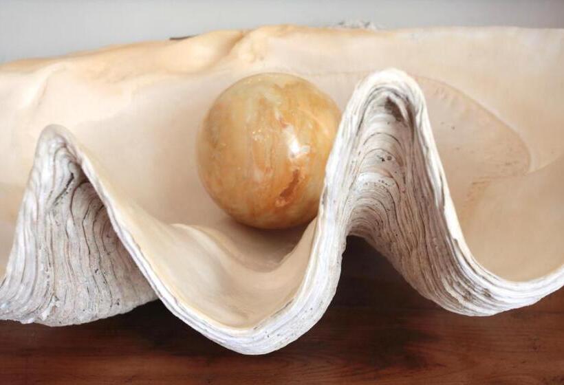 בית מלון כפרי Nautilus