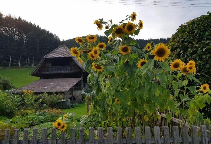 בית מלון כפרי Walkenstein