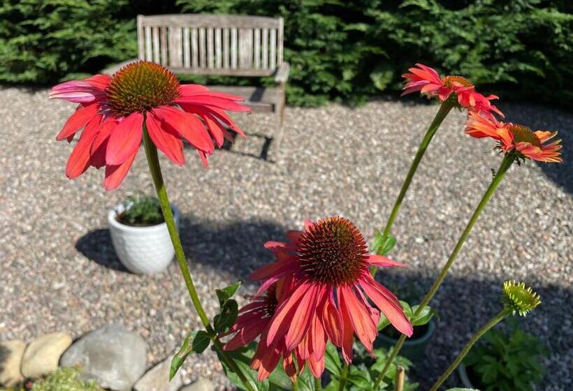 Willows Bed & Breakfast