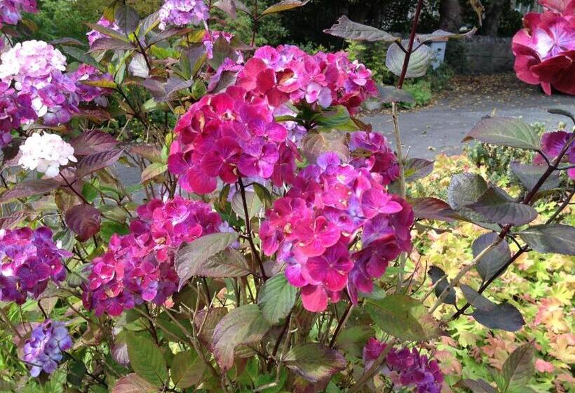 Willows Bed & Breakfast