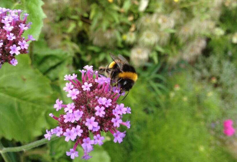 Willows Bed & Breakfast