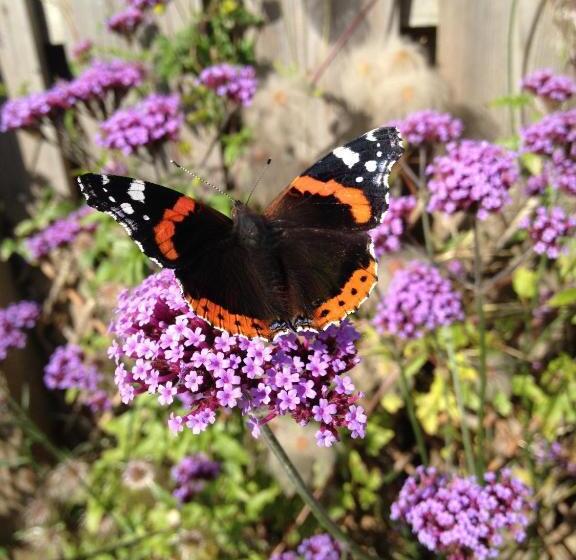 Willows Bed & Breakfast