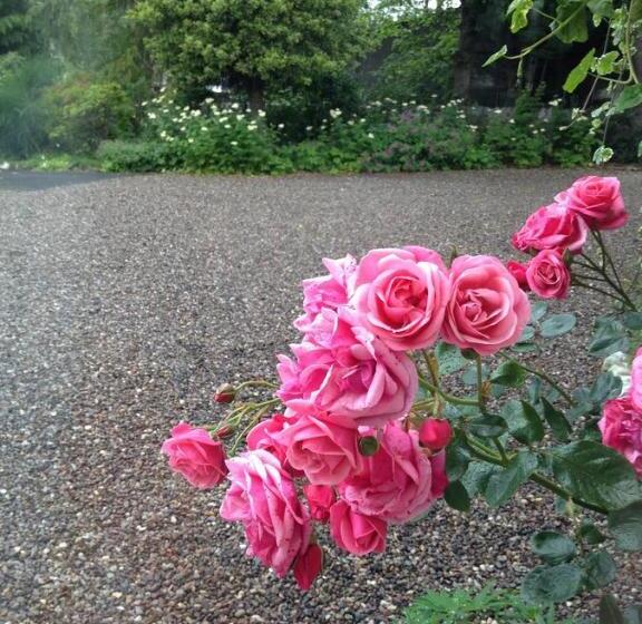 Willows Bed & Breakfast