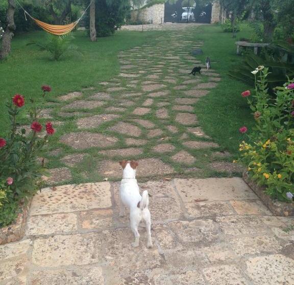 B&b Govinda Shanty House