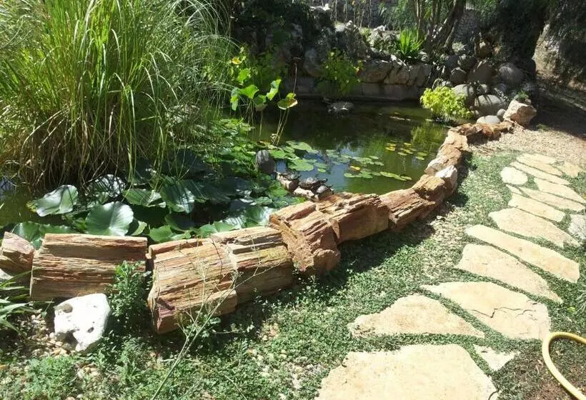 B&b Govinda Shanty House