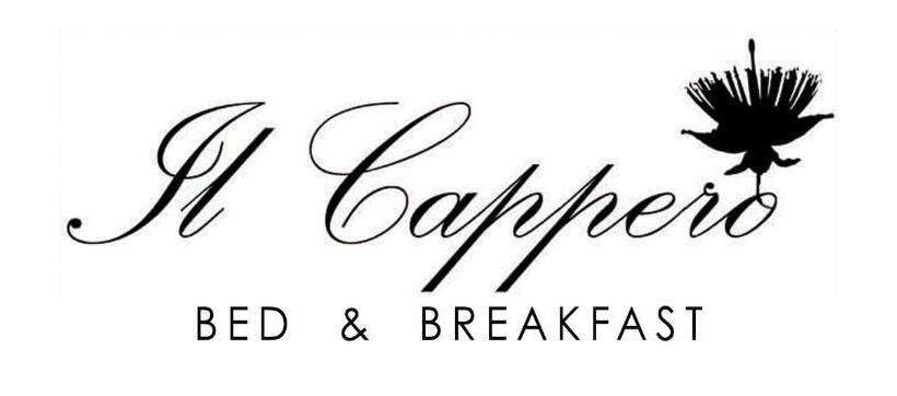 Bed And Breakfast Il Cappero