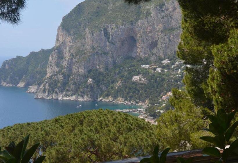تختخواب و صبحانه Villacore Capri
