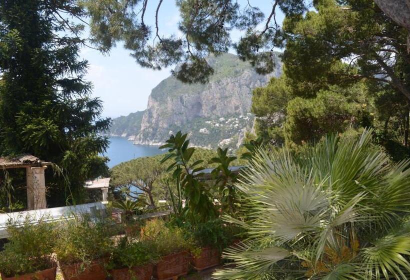 تختخواب و صبحانه Villacore Capri