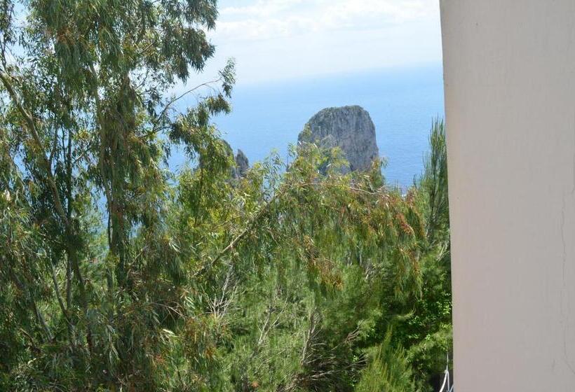 تختخواب و صبحانه Villacore Capri
