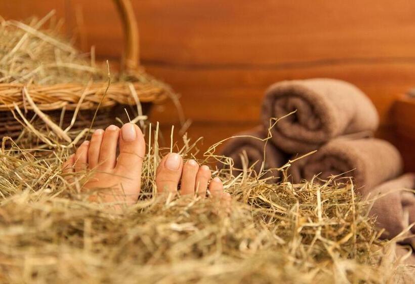 Отель Bacherhof